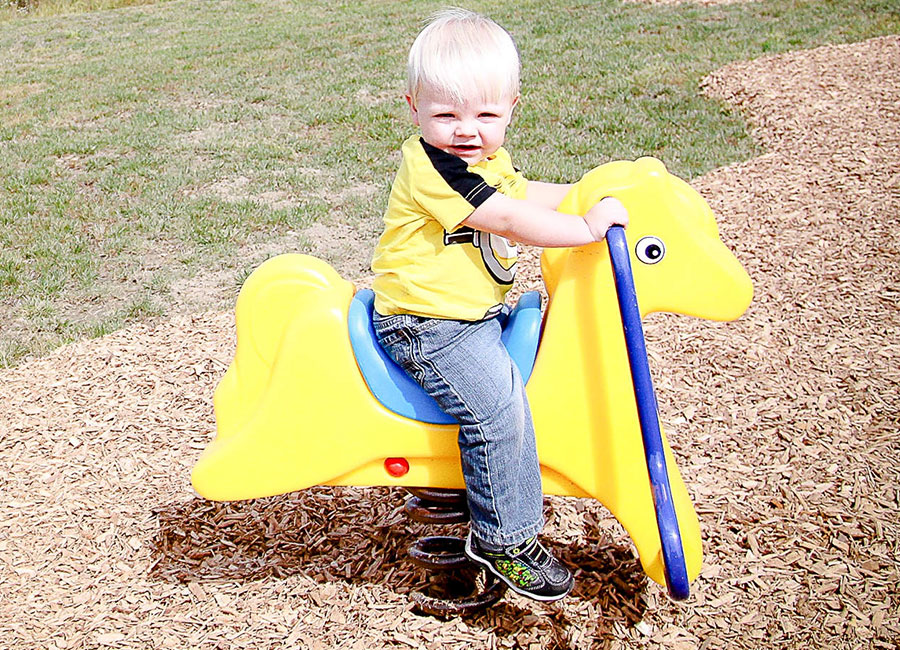 Poly-Pony-Kid